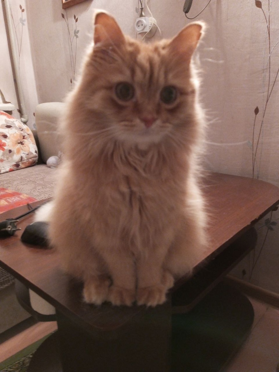 Например, этот