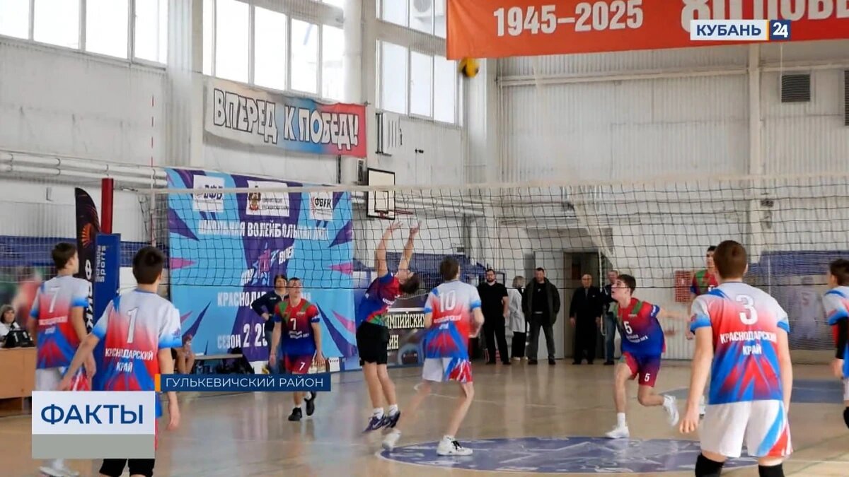    Скриншот видео телеканала «Кубань 24»