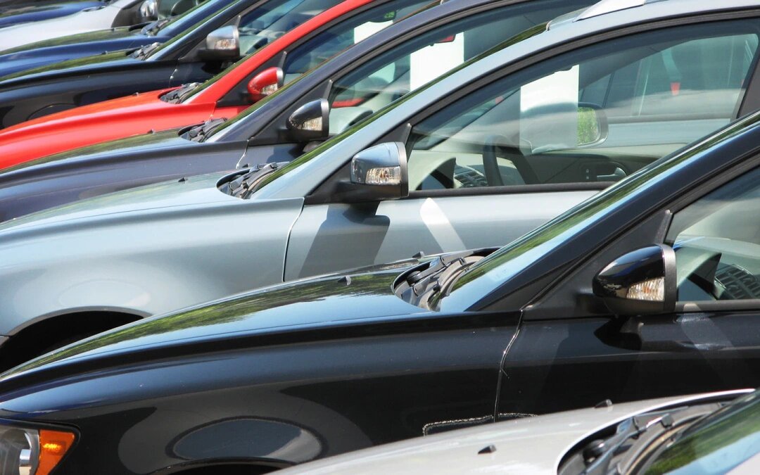 Фото: Alexander Chaikin / Shutterstock / FOTODOM