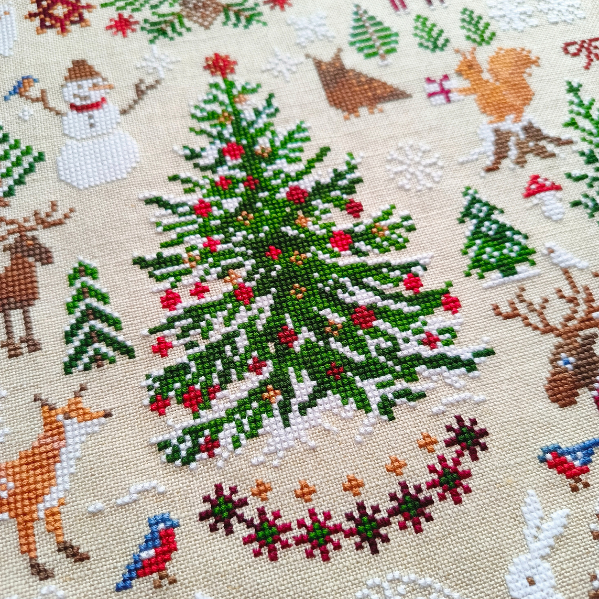 Главная красавица