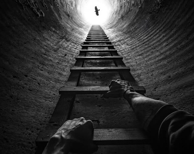 Новый вид фотографии? Или – вымирание жанра?..