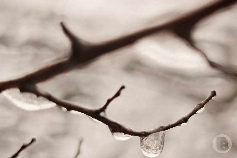    Фото: Дмитрий Рогулин / "Городские вести"