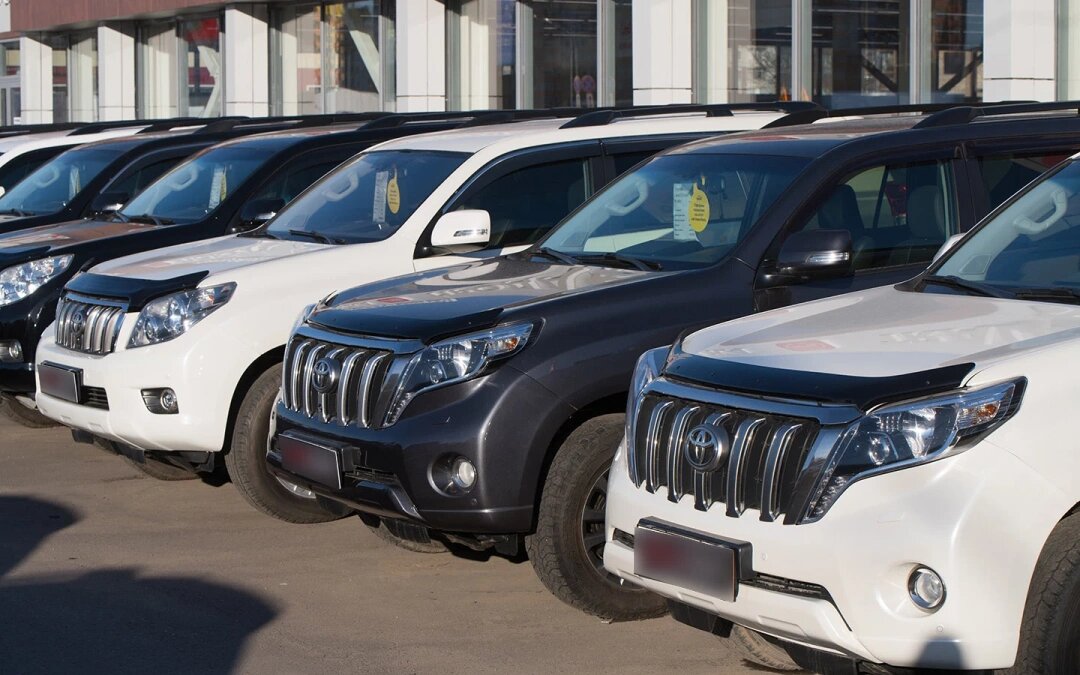 Фото: Александр Манзюк / ТАСС