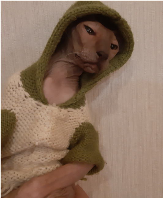 Чтобы ушки не надуло)))