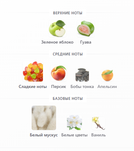 пирамида с fragrantica.ru