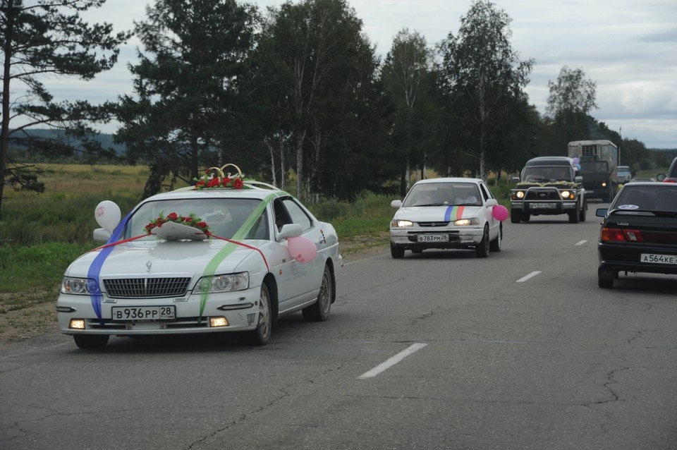    Полиция Сочи установит личности участников свадебного кортежа Владимир ВЕЛЕНГУРИН