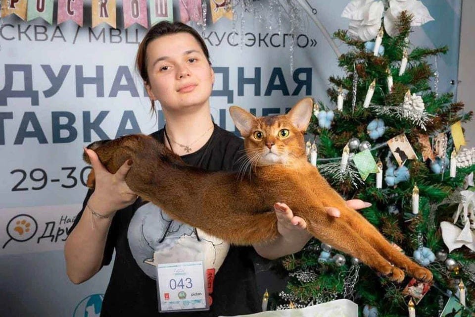    Фото: Алексей Науменко/ представлено заводчиками