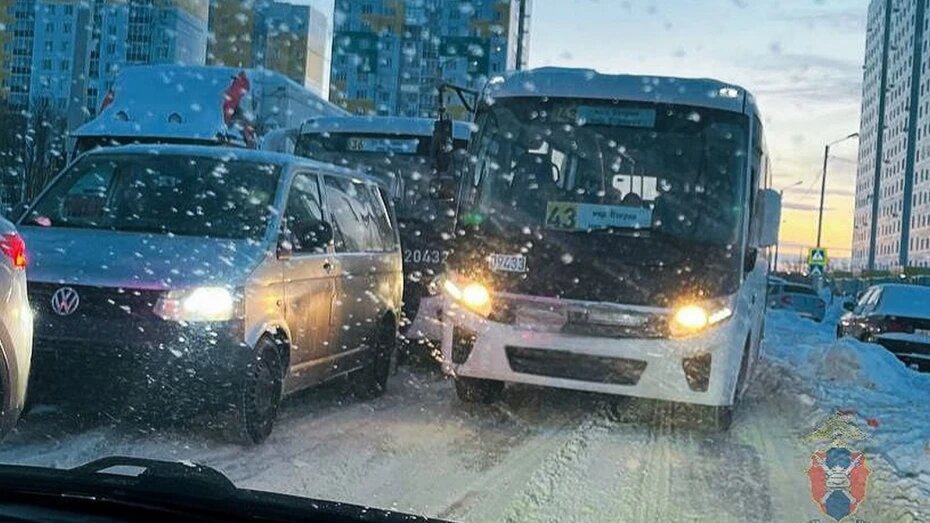    Автор фото: t.me/gibdd36