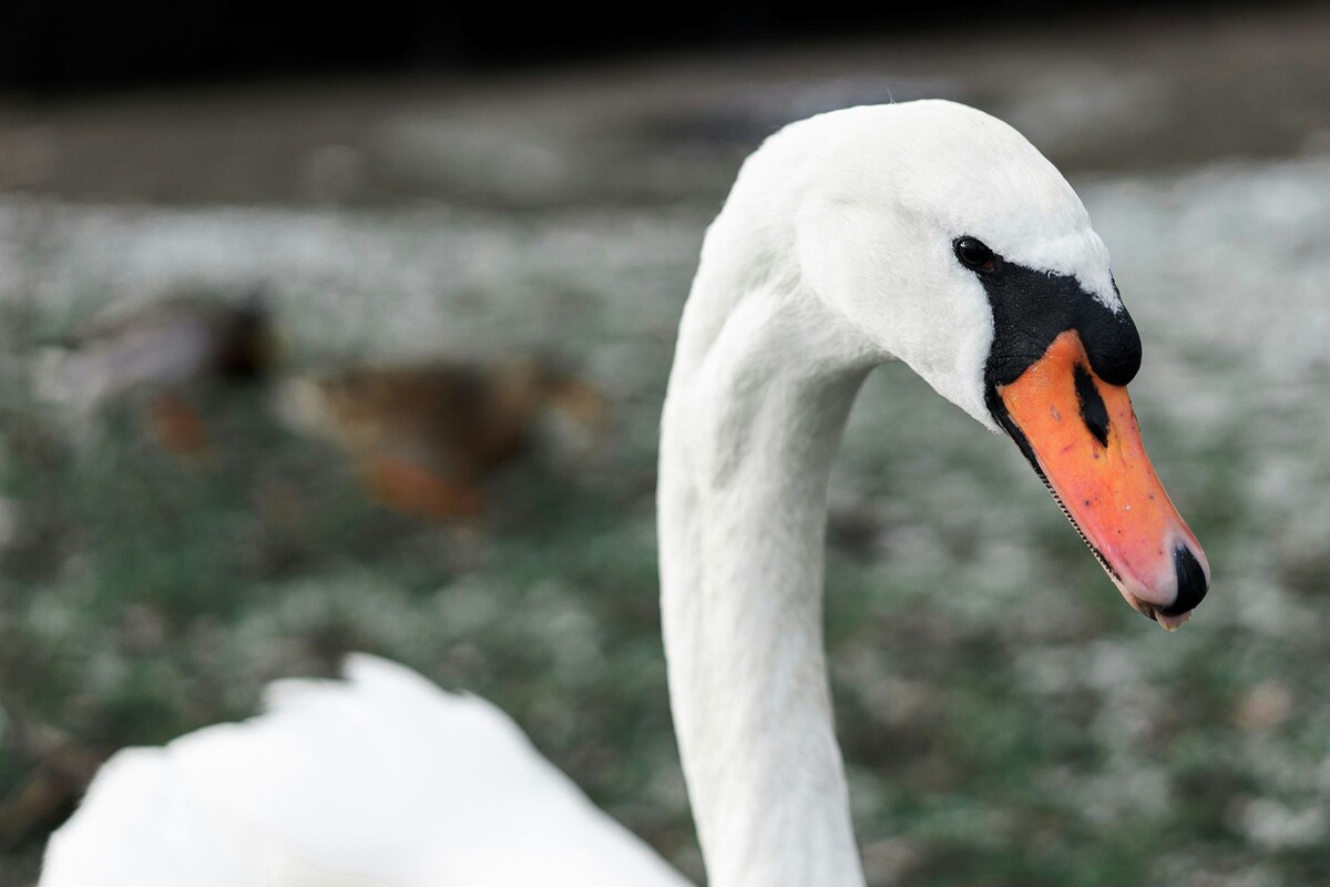  © Aksel Fristrup, Unsplash.com