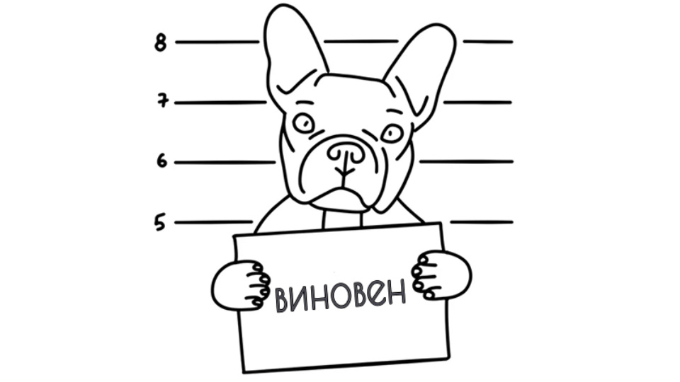 Истории про внезапное помутнение собачьего рассудка не вызывают у меня доверия. Иллюстрация John_V/Pexels