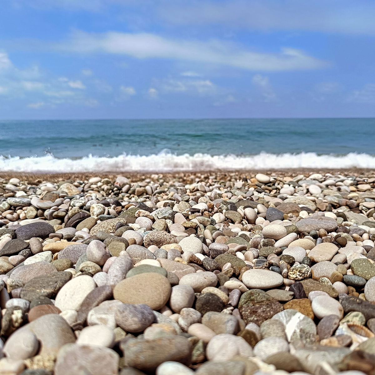    фото: © Столица на Онего