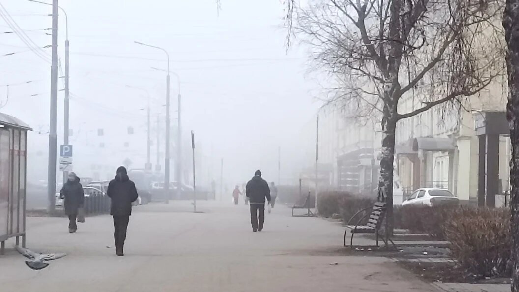    фото: Царьград