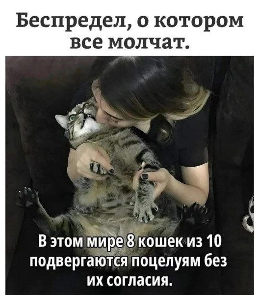 Смех из социальных сетей! Забавные шутки, забавные случаи и веселые рассказы. Фото взято из общедоступных ресурсов соцсетей