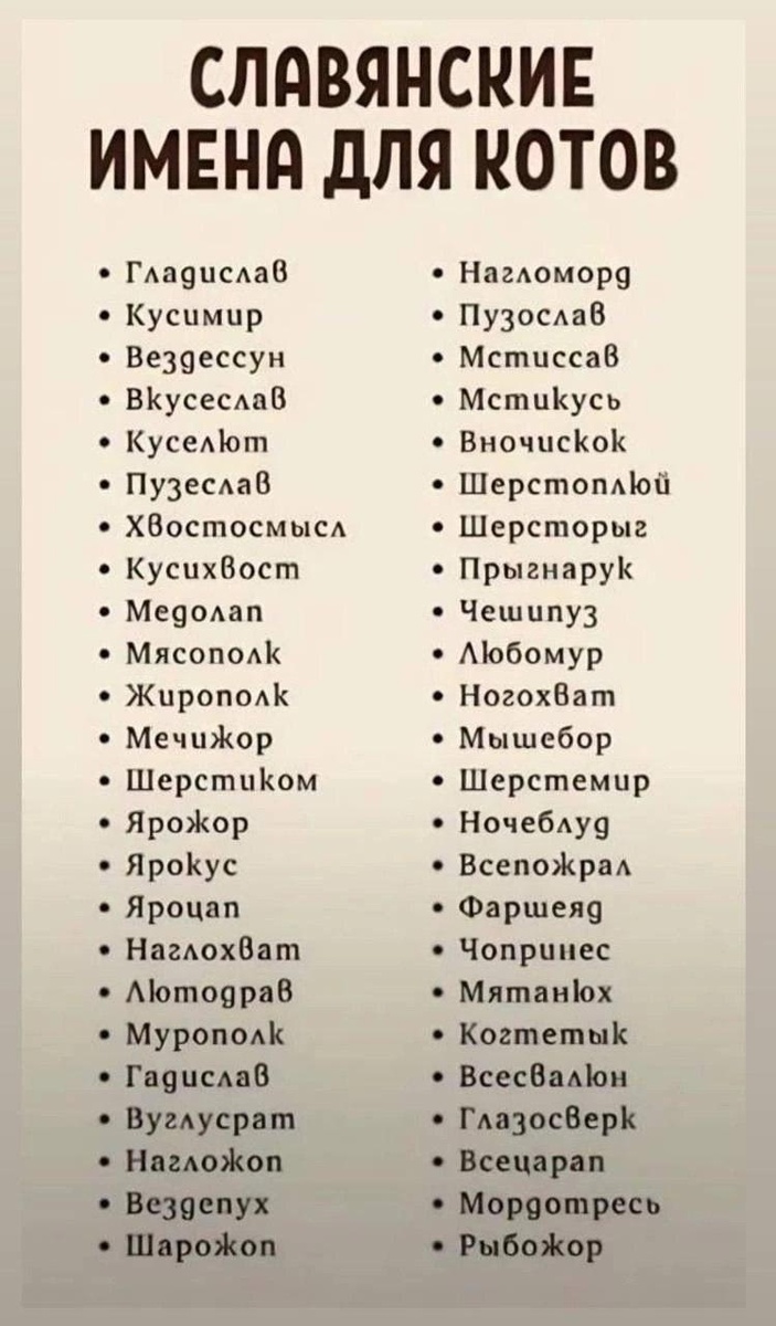 Смех из социальных сетей! Забавные шутки, забавные случаи и веселые рассказы. Фото взято из общедоступных ресурсов соцсетей