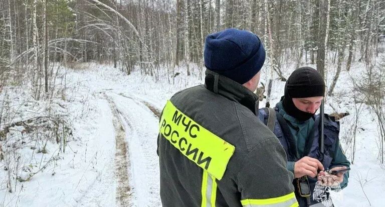    Пресс-служба МЧС