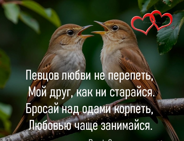 Общаюсь с поэтом!