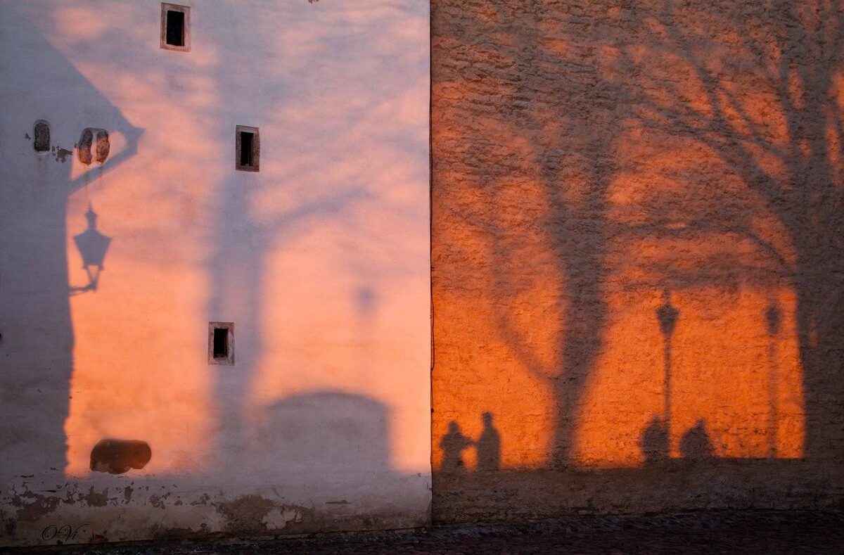 Ольга Виноградова