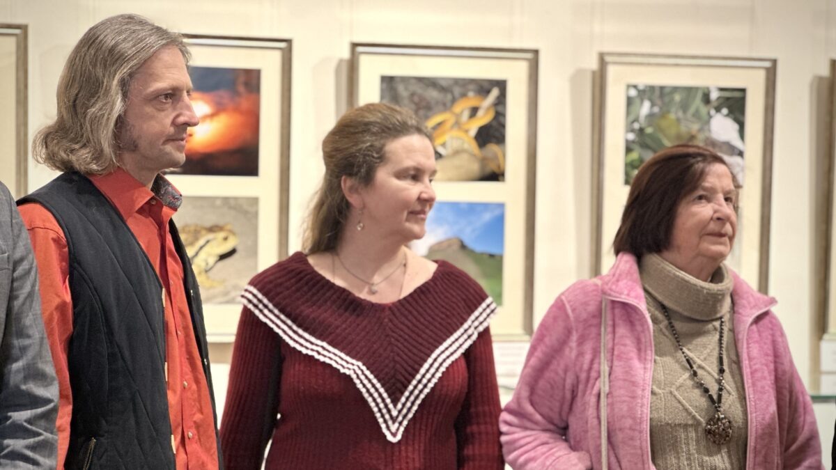    Фото: Алиса Гайнутдинова, Департамент по информационной политике КФУ