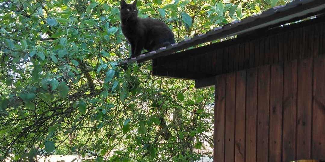 Зима еще не закончилась, а в голове уже лето