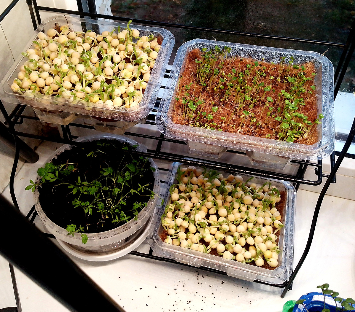 Дешево, интересно, полезно!