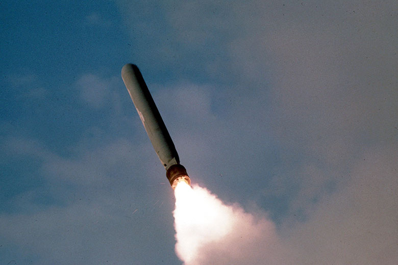    Department of Defense/Global Look Press