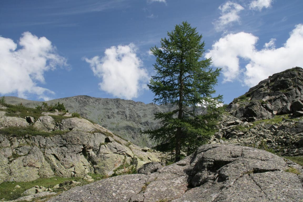 Общественное достояние.