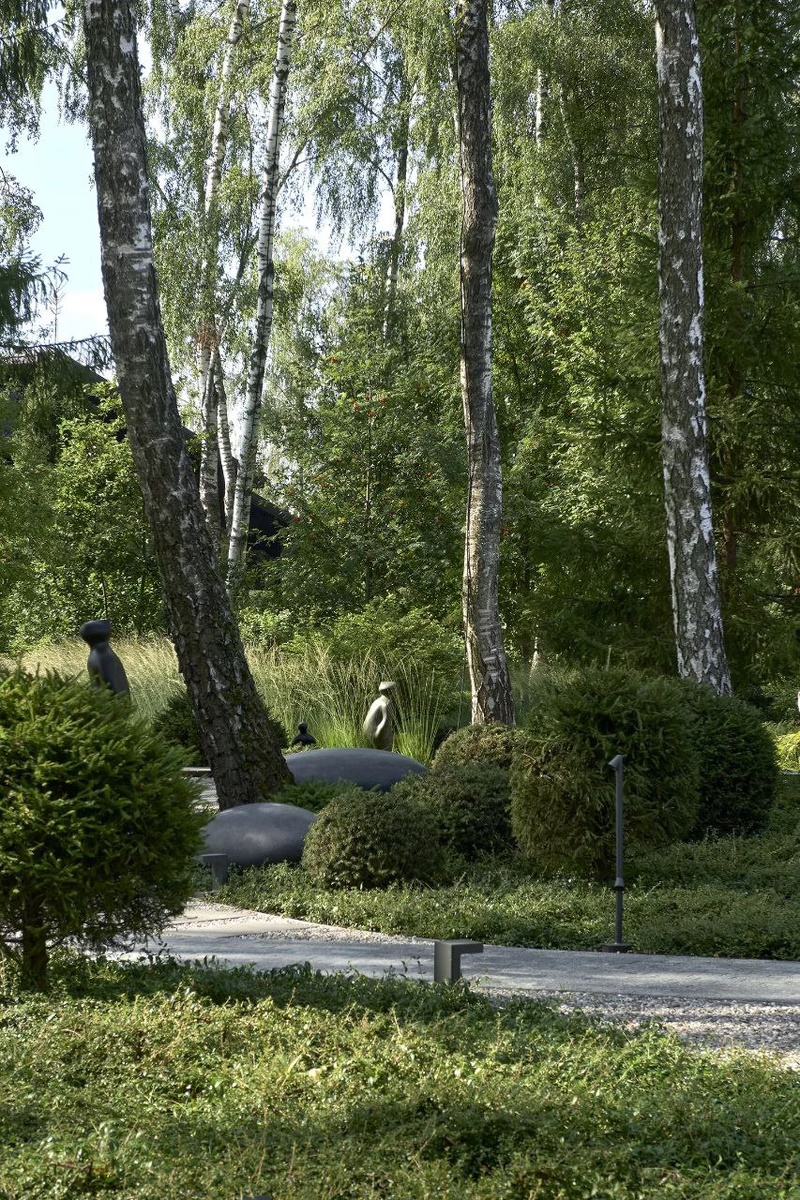 Взрослые сосны, ели, березы или дубы —  станут «золотым фондом» вашего сада