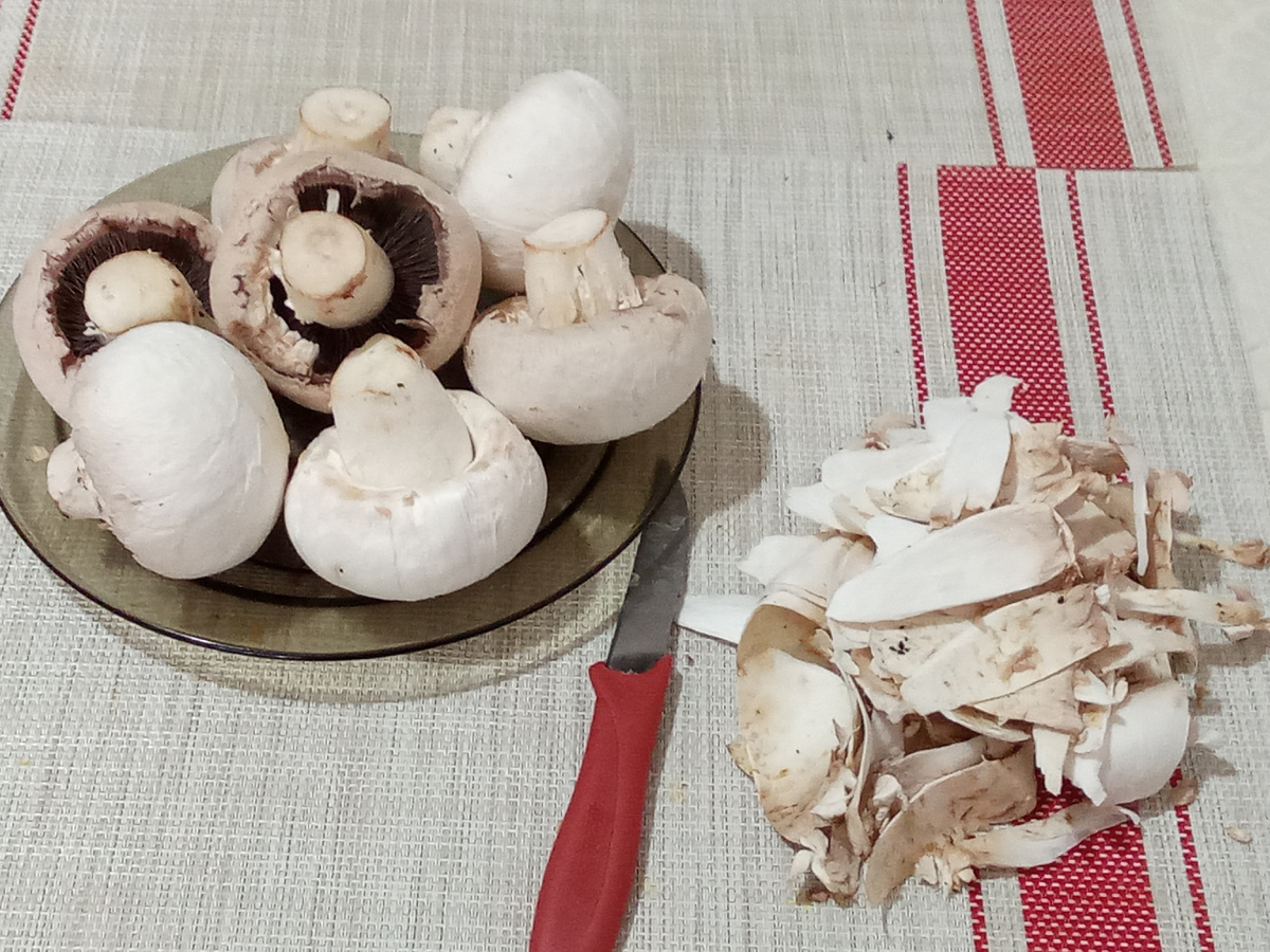 Грибы Шампиньоны