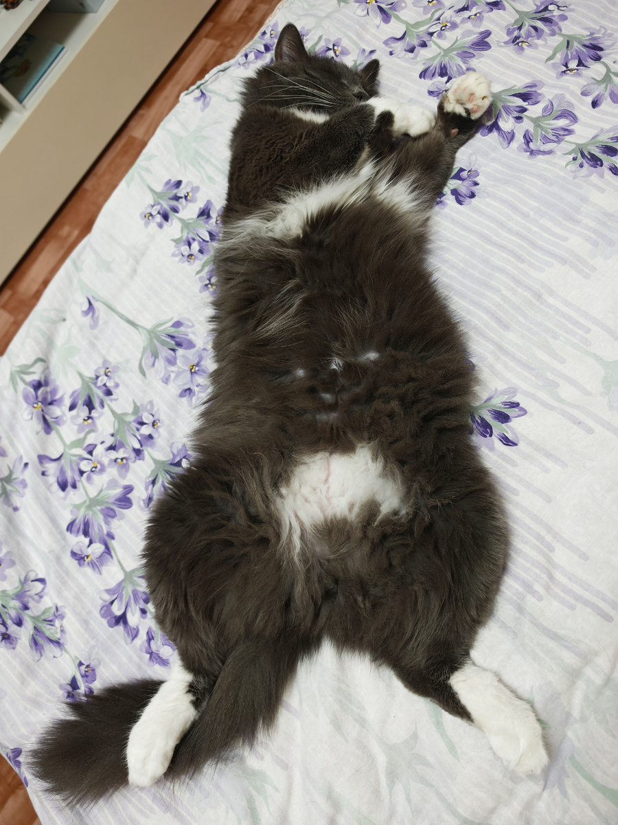 Фото автора канала.