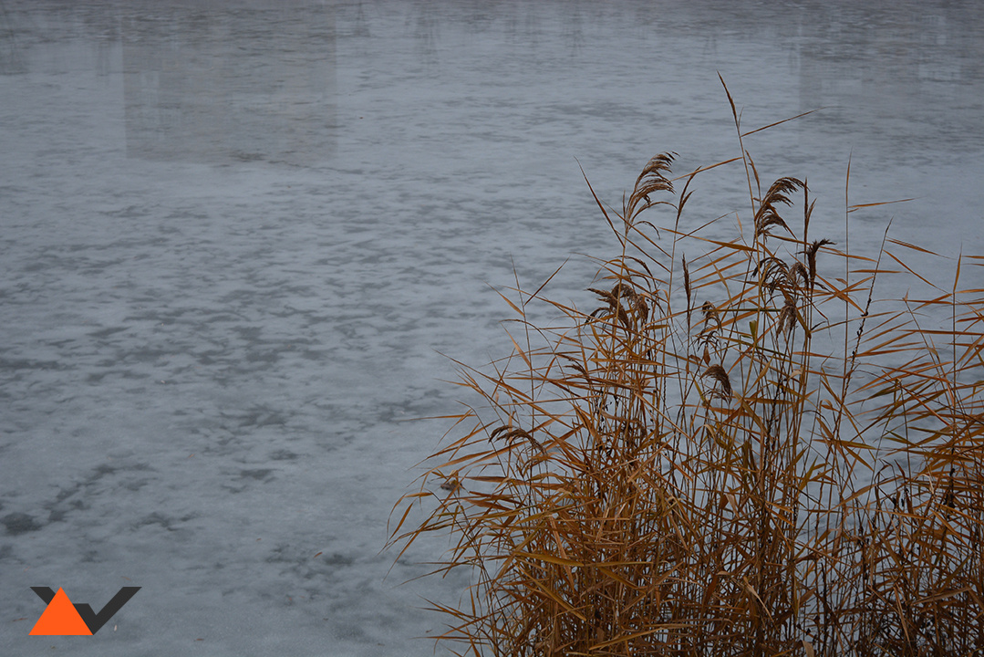Ситуация туманна, как вечер на берегу Кальмиуса)