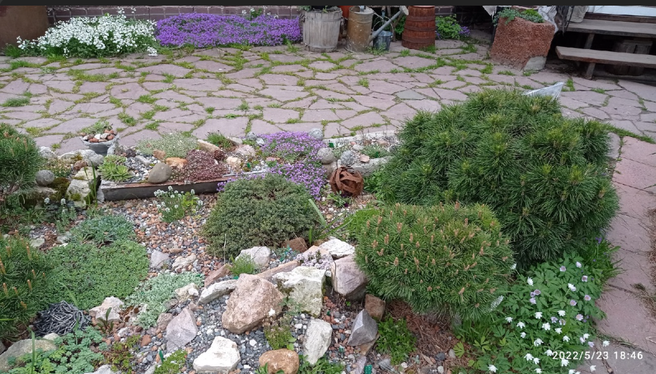 четыре года назад