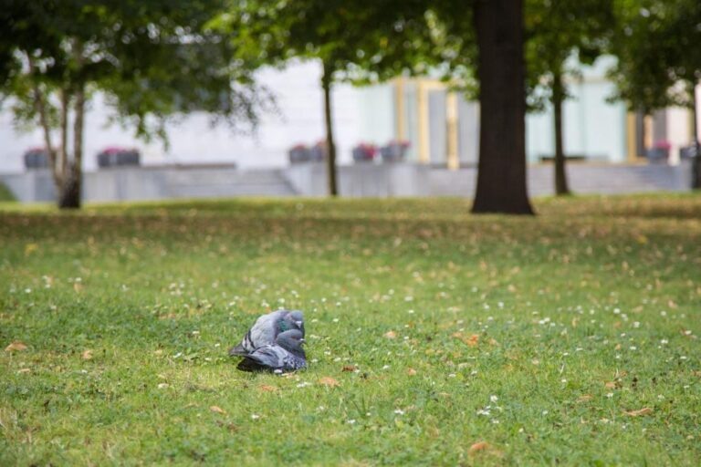    Фото: Общественная Служба Новостей Анастасия Мишкина