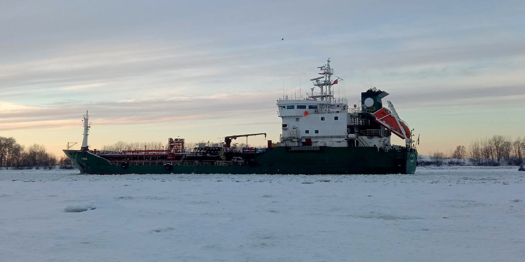 Моя попытка отомстить судаку по полной программе