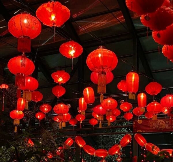    Фото: Ботанический сад МГУ «Аптекарский огород». vk.com