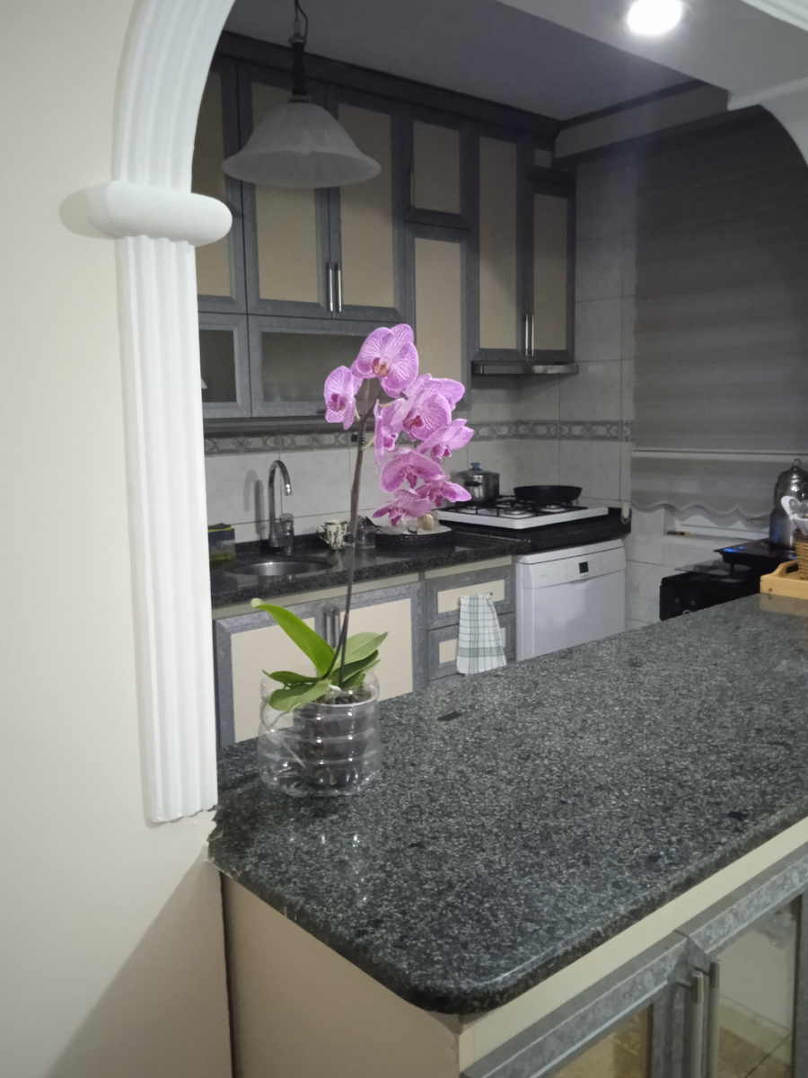 Кашпо тоже будет. Пока так