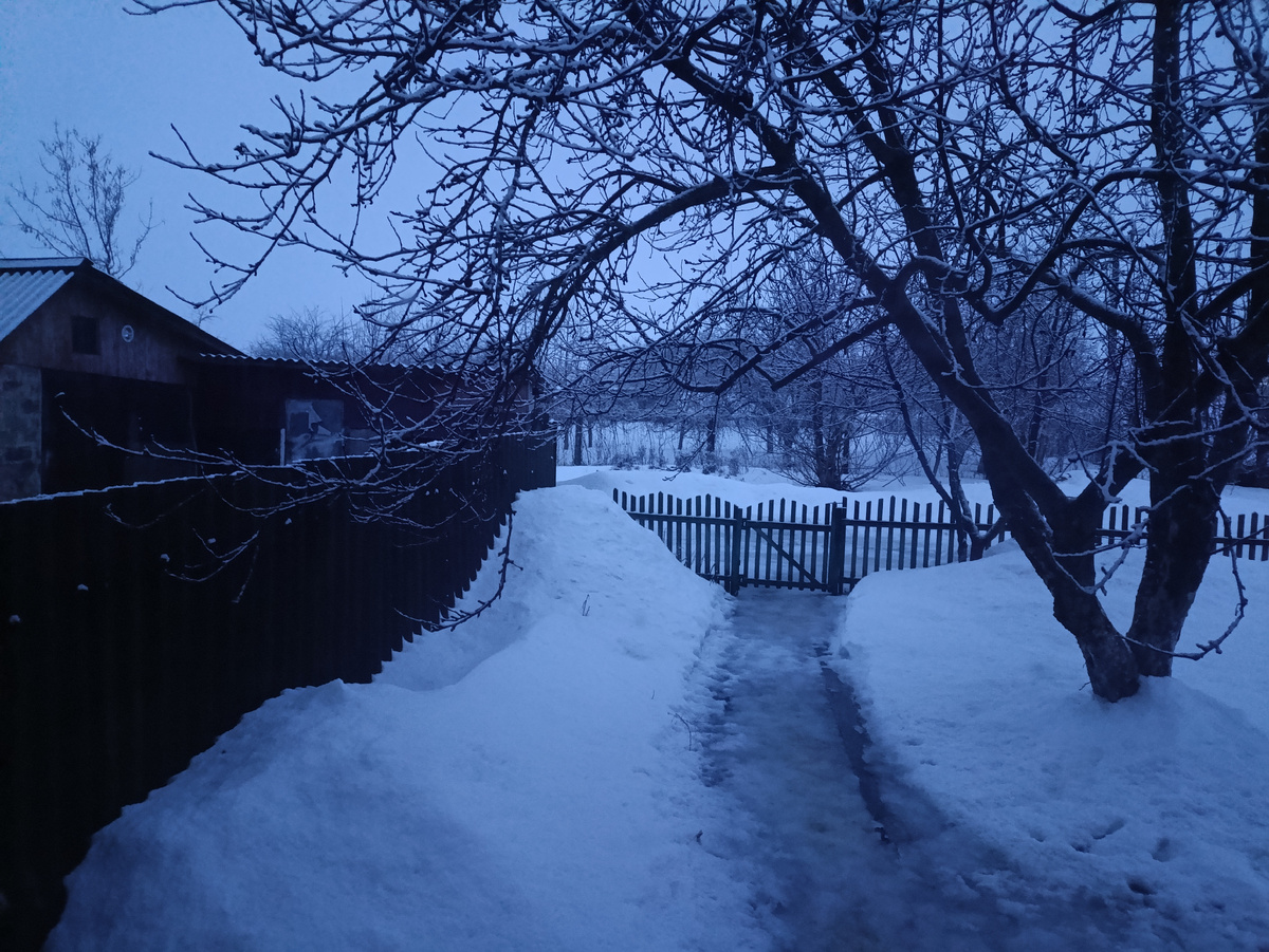 Мамин садик в снегу