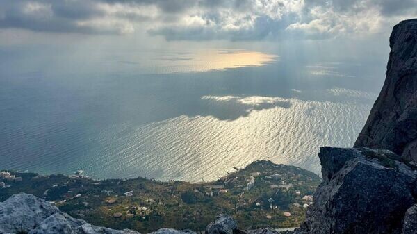    © Telegram Михаил Развожаев