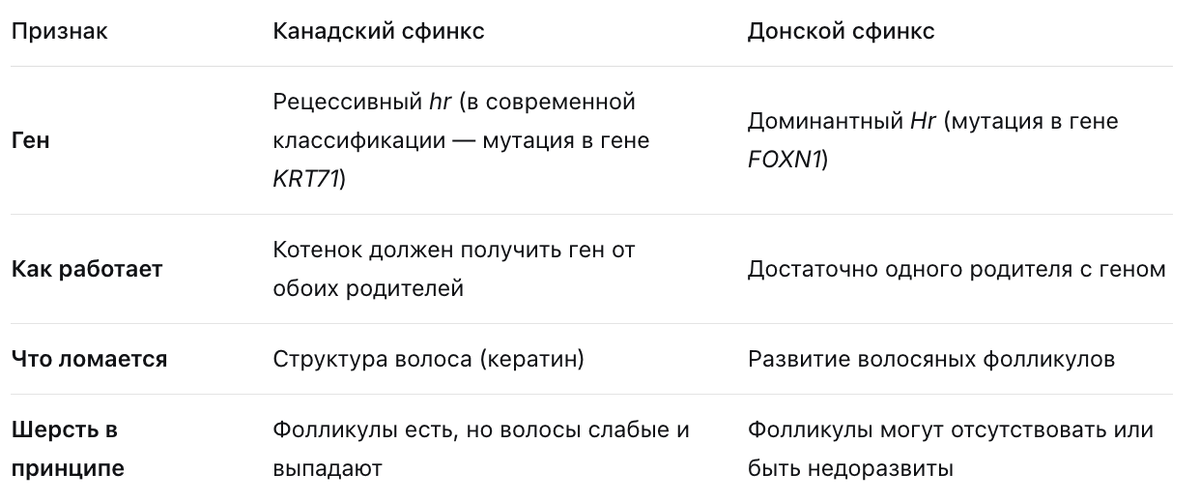 Разные гены бесшерстности у канадских и донских сфинков