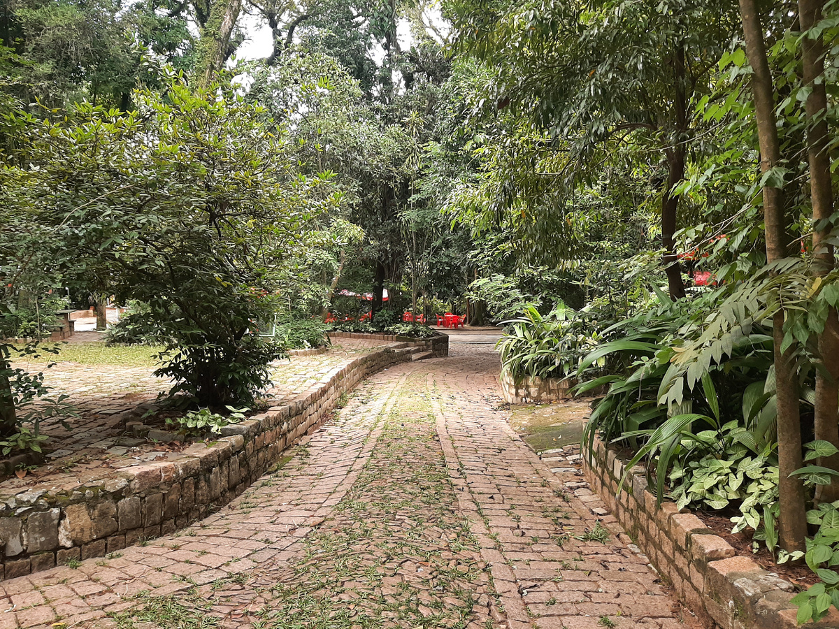 Кампинас (штат Сан-Паулу)