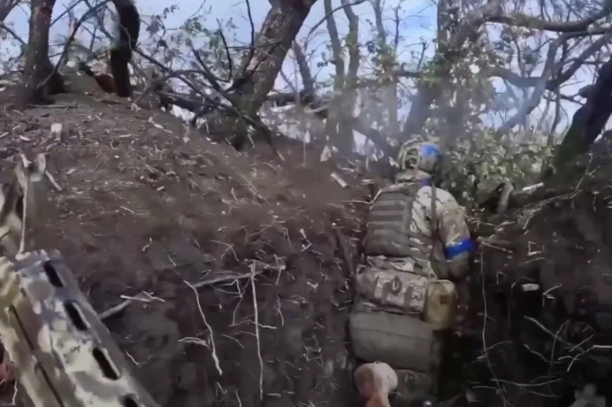    Выворачивает блиндажи.