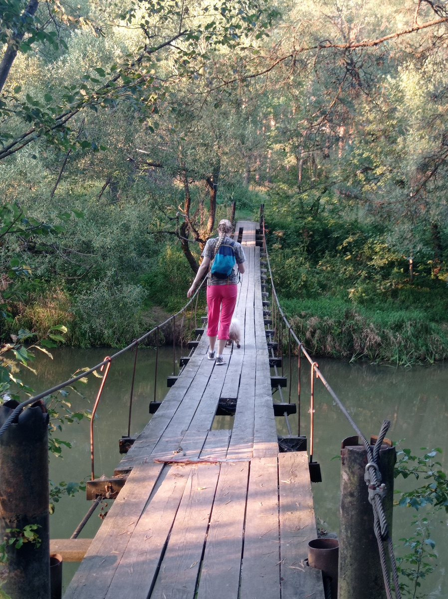 Фото из нашего отпуска в августе. Летом живем дикой жизнь в палатках, очень много гулям по лесу и разным мало хоженным тропинкам, и вот встречаются в лесной глуши и такие мостики.