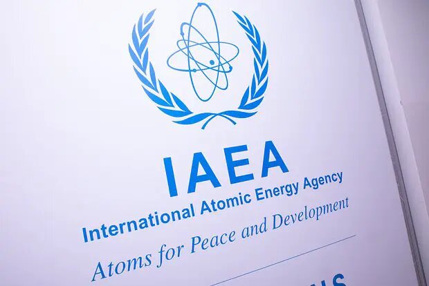    Фото: lenta.ru Маргарита Родионова