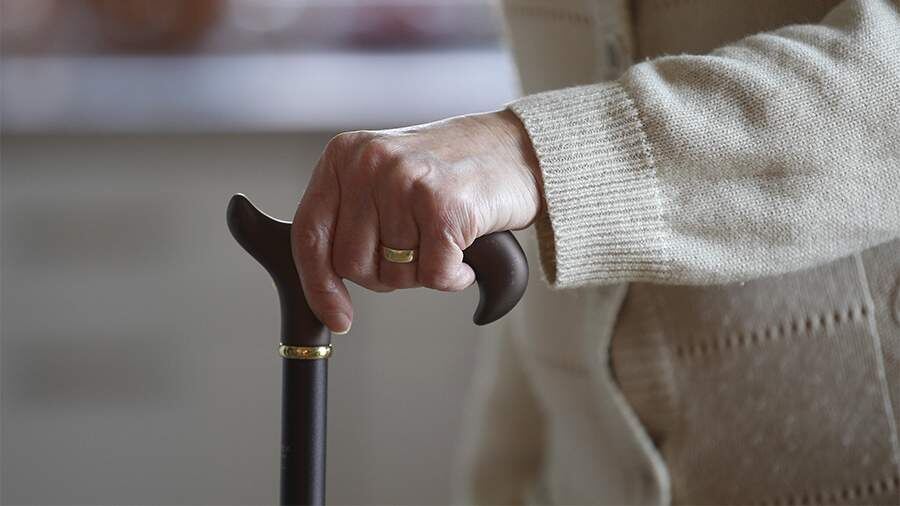    Фото: Global Look Press/Fleig / Eibner-Pressefoto