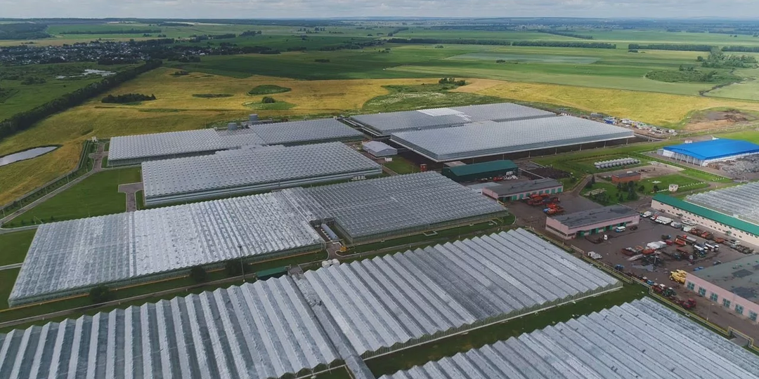 28,8% компаний убыточные.