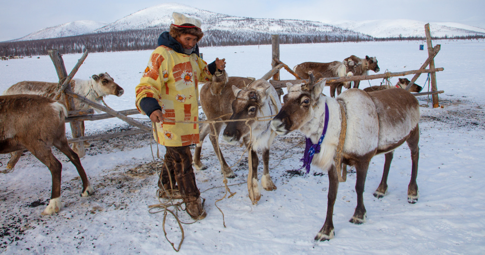 Фото: пресс-служба правительства Чукотского АО