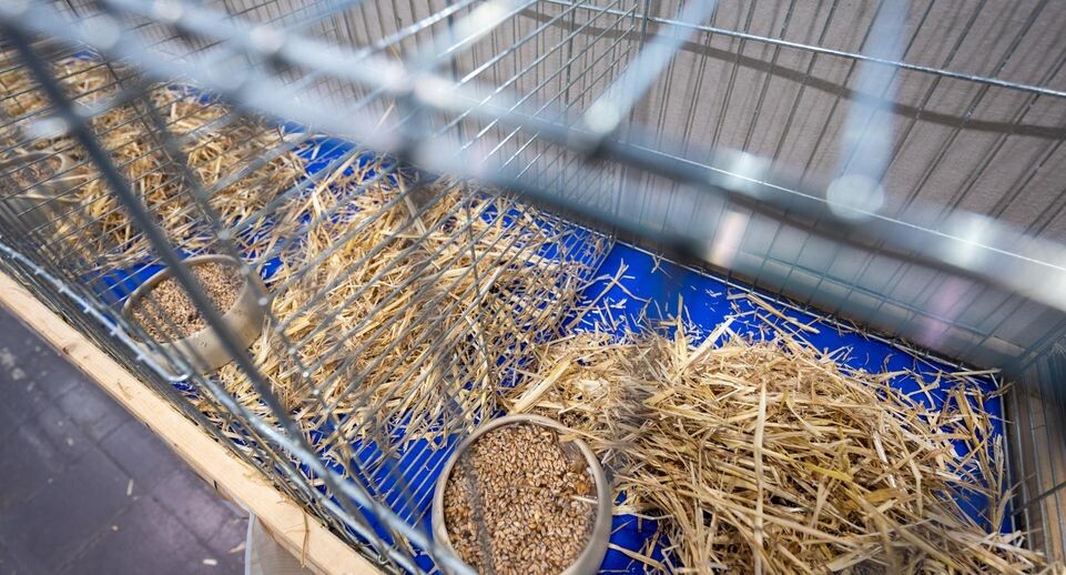    Hendrik Schmidt/dpa / www.globallookpress.com