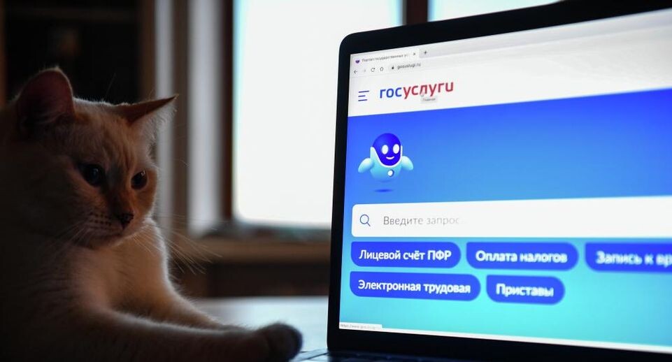    РИА «Новости»