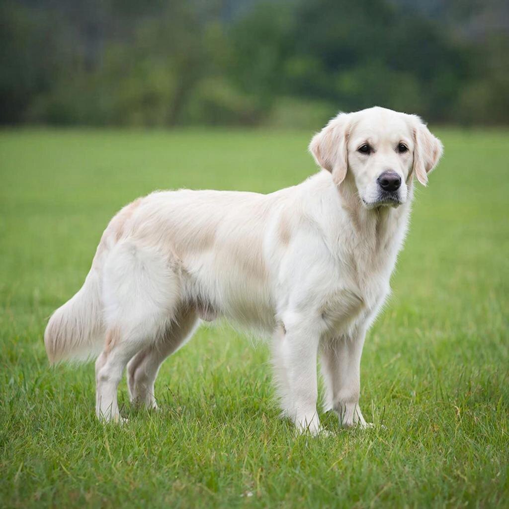 Я воспитанный и добрый