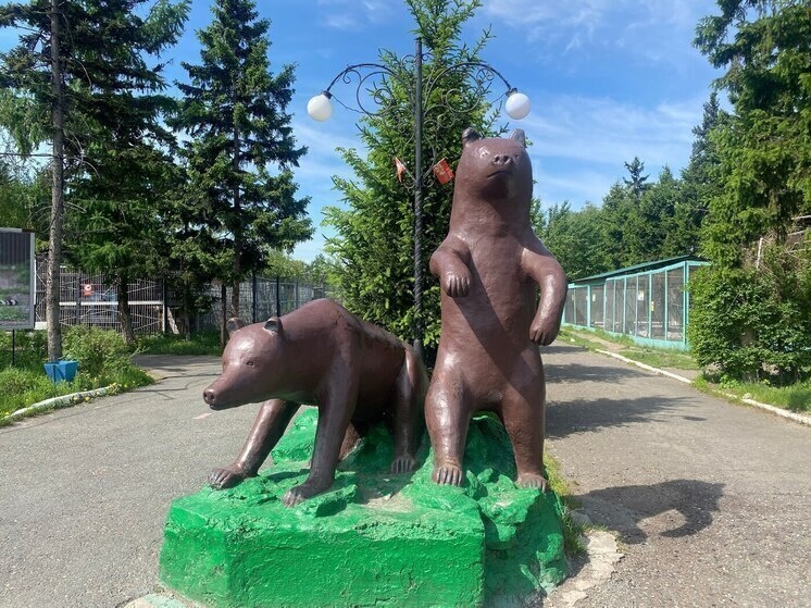     Фото: официальный телеграм-канал абаканского зоопарка