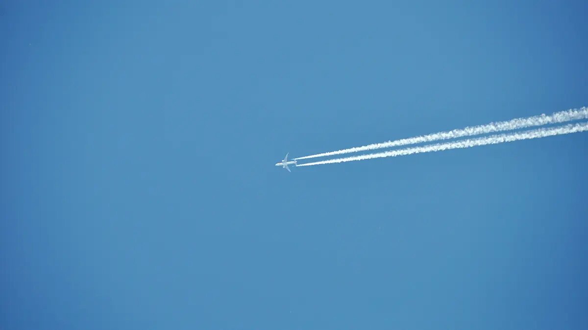    Фото: vm.ru Владимир Новиков